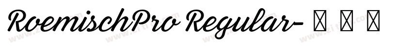 RoemischPro Regular字体转换 RoemischPro Regular字体转换